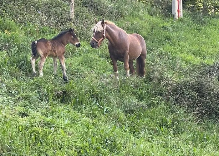 Pasiega Lo Bartulo * La Concha (San Roque de Riomiera)